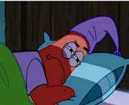Screenshot_20240814_012757_Samsung Internet.webp