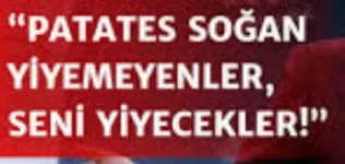 1724057891657.webp