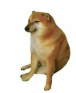 1724618461853.png