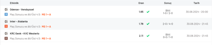Ekran görüntüsü 2024-08-30 235657.png