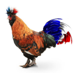 1725466654201.png