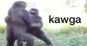 kawga.jpg