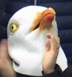 Kuş.png