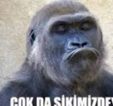 1726430813713.png