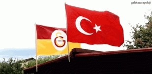 galatasaray-bayrak (1).gif
