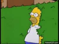 IMG_3951.gif