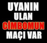 uyanın ulan.jpeg