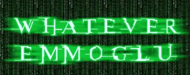 EMMO.webp