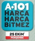 101.webp