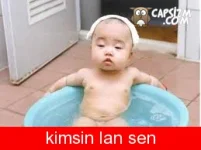 kimsin-lan-sen-capsi.webp
