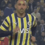 1729447586776.gif