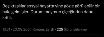 1730456791092.webp