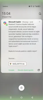 Screenshot_20241103-150449.webp