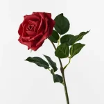 images.webp images.webp