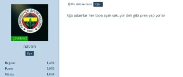 1731004382611.webp