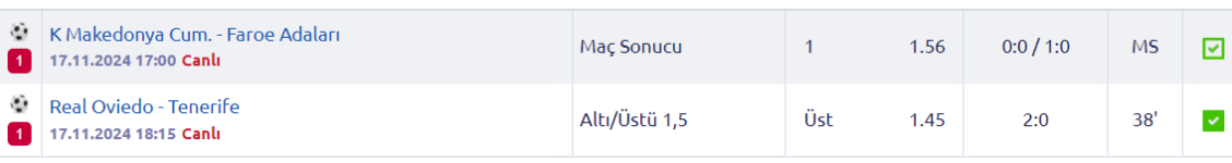 Ekran görüntüsü 2024-11-17 185447.png