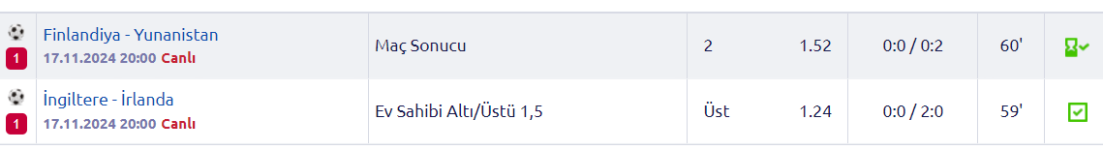Ekran görüntüsü 2024-11-17 211728.png