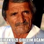 images (74).jpeg