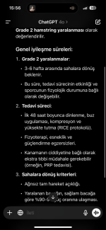 IMG_8393.png