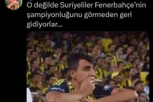 1733945848917.webp