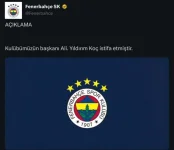 1733946131144.webp