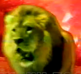 1727258762997.png