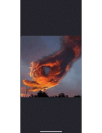 1000013073.gif
