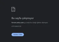 1734379662946.webp