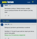 1734381032179.webp