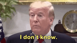giphy (7).gif