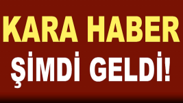 19996.png