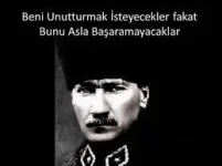 1541786781576.webp