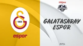 15.webp
