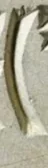 1737640504716.webp