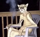 20250129_025206.webp
