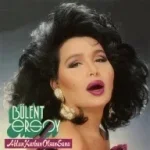1738343028891.webp