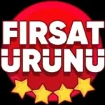 1738923054777.webp