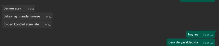 1739829565772.webp