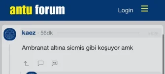 1741293448381.webp