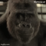 9mpsh2.gif
