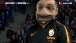 1741695994572.webp