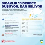 1741952344034.webp