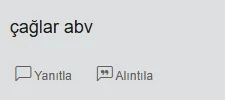 1743782402161.webp