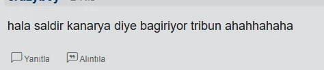 1743782923888.webp
