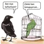 1744273055016.webp