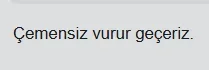 1745179275196.webp