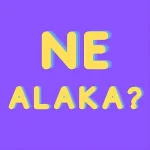 1745705920544.webp