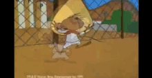IMG_3952.gif