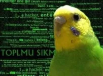 1544727920888.webp