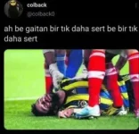 1746537348353.webp
